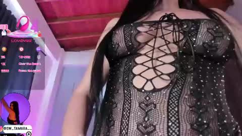 tamy  online show from 06-11-26, 12:14