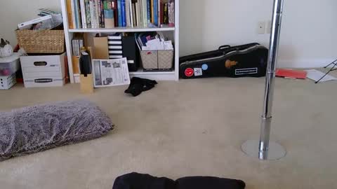 Heidi Brenner - Please check bio for schedule  FAQ online show from 01-28-25, 04:41