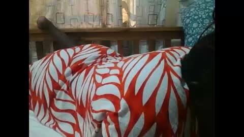 MELVIN online show from 11-25-25, 07:08