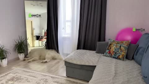 Snapshot of sweetdreamvic chatting on 01-17-25, 12:42 Vicktorious online show from 01-17-25, 12:42