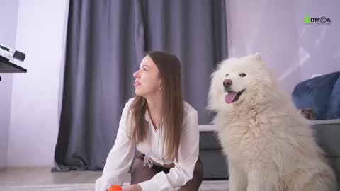 Snapshot of sweetdreamvic chatting on 02-15-25, 02:55 Vicktorious online show from 02-15-25, 02:55