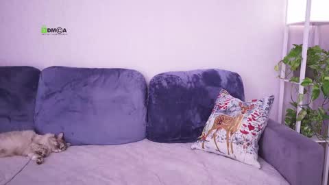 Snapshot of sweetdreamvic chatting on 02-24-25, 08:17 Vicktorious online show from 02-24-25, 08:17