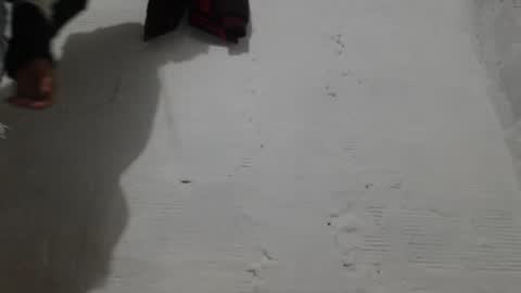 Camilo online show from 02-01-26, 11:09