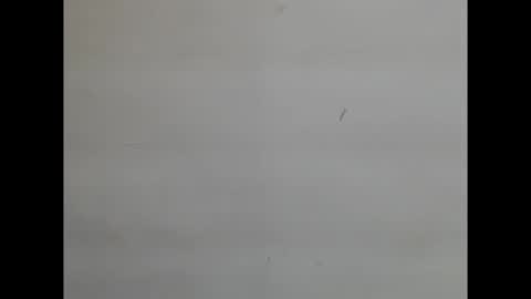 Snapshot of sweetnectarx chatting on 11-08-25, 04:40 sweetnectarx online show from 11-08-25, 04:40