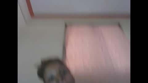 Snapshot of sweetpetite254 chatting on 04-11-26, 07:45 ESTHER online show from 04-11-26, 07:45