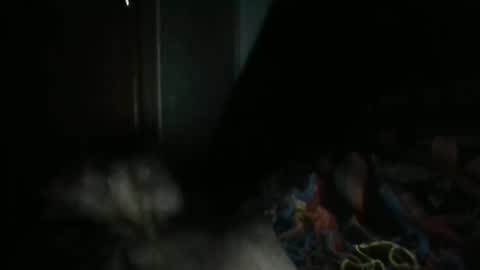 sweetpussylicks online show from 02-07-25, 07:29