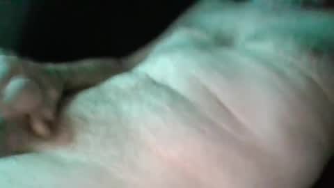 sweetpussylicks online show from 02-17-25, 03:04