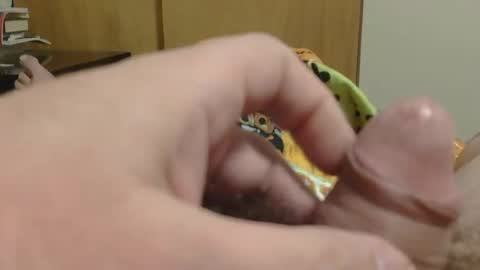 SweetRevenge online show from 12-19-25, 09:33