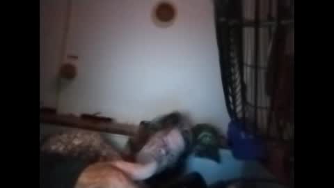 Snapshot of sweetsugar64 chatting on 03-08-26, 06:17 sweetsugar64 online show from 03-08-26, 06:17