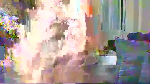 Snapshot of sweetvixen_ chatting on 12-11-24, 02:30 Cute vixen online show from 12-11-24, 02:30