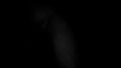 swollpole2112 online show from 03-10-26, 05:01