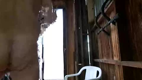 syevecrl online show from 10-27-25, 12:47