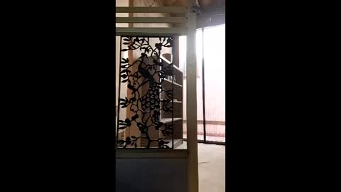 syevecrl online show from 01-31-26, 10:30