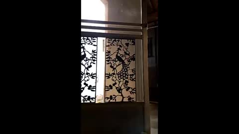 syevecrl online show from 02-09-26, 02:04