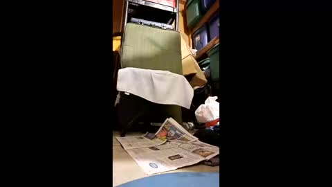 syevecrl online show from 05-11-26, 05:57