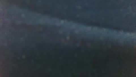 syrius57920 online show from 01-19-25, 10:39