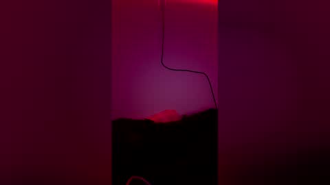 t_wilo online show from 04-02-26, 04:21