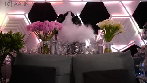 TAANNI online show from 01-31-25, 06:13