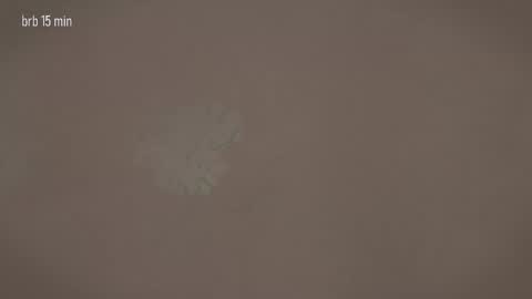 Snapshot of taanni_bc chatting on 03-20-26, 12:32 TAANNI online show from 03-20-26, 12:32