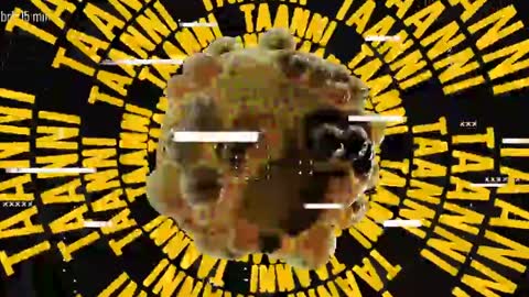 TAANNI online show from 05-18-26, 10:26