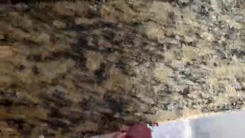 Canon online show from 03-02-26, 04:47