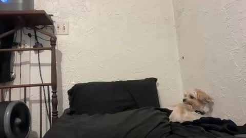 Snapshot of talenjames chatting on 09-28-25, 10:26 Talen James online show from 09-28-25, 10:26