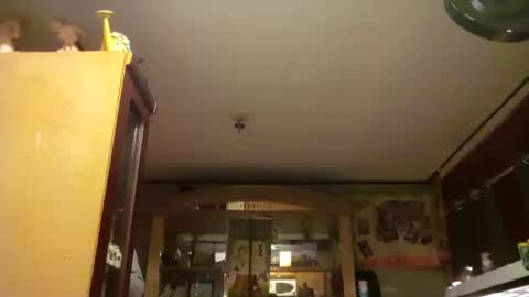 Snapshot of taliban809 chatting on 02-18-25, 08:05 taliban809 online show from 02-18-25, 08:05