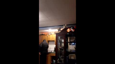 Snapshot of taliban809 chatting on 02-06-26, 11:46 taliban809 online show from 02-06-26, 11:46