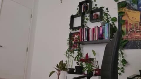 Snapshot of talimajid chatting on 02-16-26, 08:16 Tali Majid online show from 02-16-26, 08:16