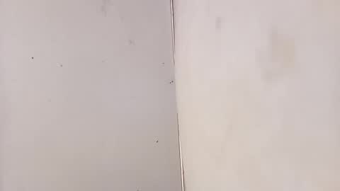 tall6feet7inch online show from 02-03-26, 07:13