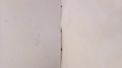 tall6feet7inch online show from 03-15-26, 09:15