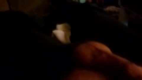 The Man of Steel online show from 10-26-25, 10:43