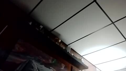 The Man of Steel online show from 10-27-25, 02:48