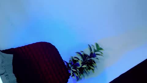 tamera_cummer0969 online show from 11-20-25, 07:57