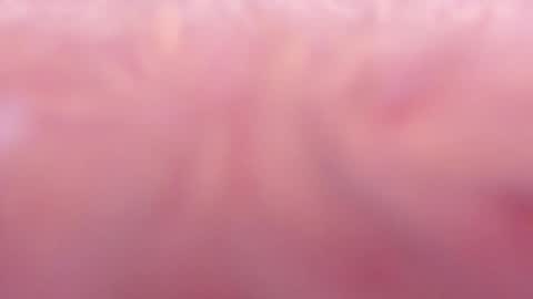 Tamy ian online show from 01-31-25, 10:42