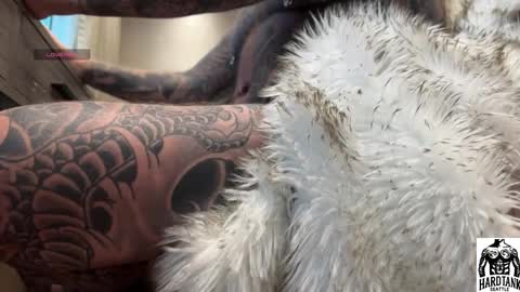 Tank Guy online show from 04-02-26, 09:45