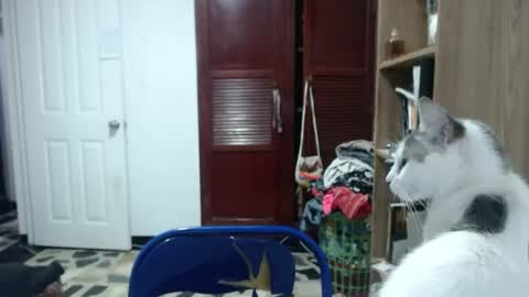Snapshot of tantricroots chatting on 06-11-26, 01:05 Angeline Follow online show from 06-11-26, 01:05
