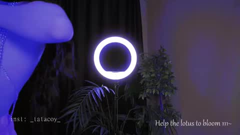 Snapshot of tatacoy chatting on 10-30-25, 02:07 TataCoy online show from 10-30-25, 02:07