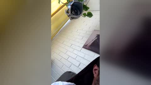 tazhardaway3435 online show from 02-01-26, 08:40