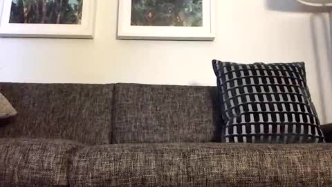 Tbiz82 online show from 03-21-26, 04:17