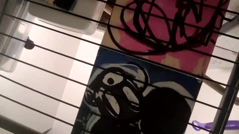 Luis online show from 02-10-25, 08:20