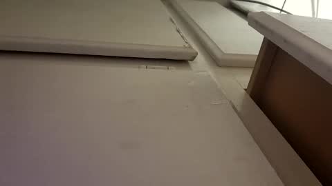 Luis online show from 10-06-25, 10:02