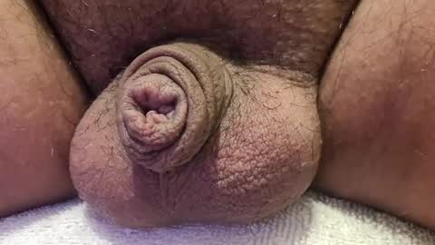 Luis online show from 10-14-25, 12:22