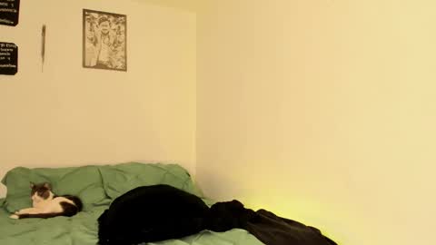 Teo online show from 09-13-25, 02:50