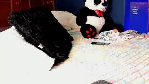 Teo online show from 03-11-26, 08:26