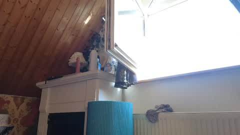 Snapshot of tessawinter chatting on 04-26-26, 02:04 Tessa online show from 04-26-26, 02:04