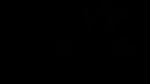 CJ online show from 03-02-26, 05:08