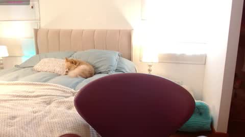 Snapshot of thamarajane1 chatting on 01-02-25, 08:35 online show from 01-02-25, 08:35