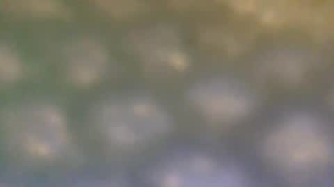 Snapshot of that_thing20 chatting on 03-05-25, 07:06 that_thing20 online show from 03-05-25, 07:06