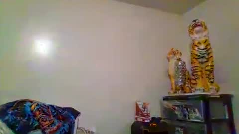 Snapshot of thatgirl4201 chatting on 11-15-25, 05:27 thatgirl4201 online show from 11-15-25, 05:27